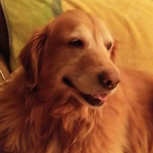 Meet your Posher, Jaclyn - Picture 1 of 1